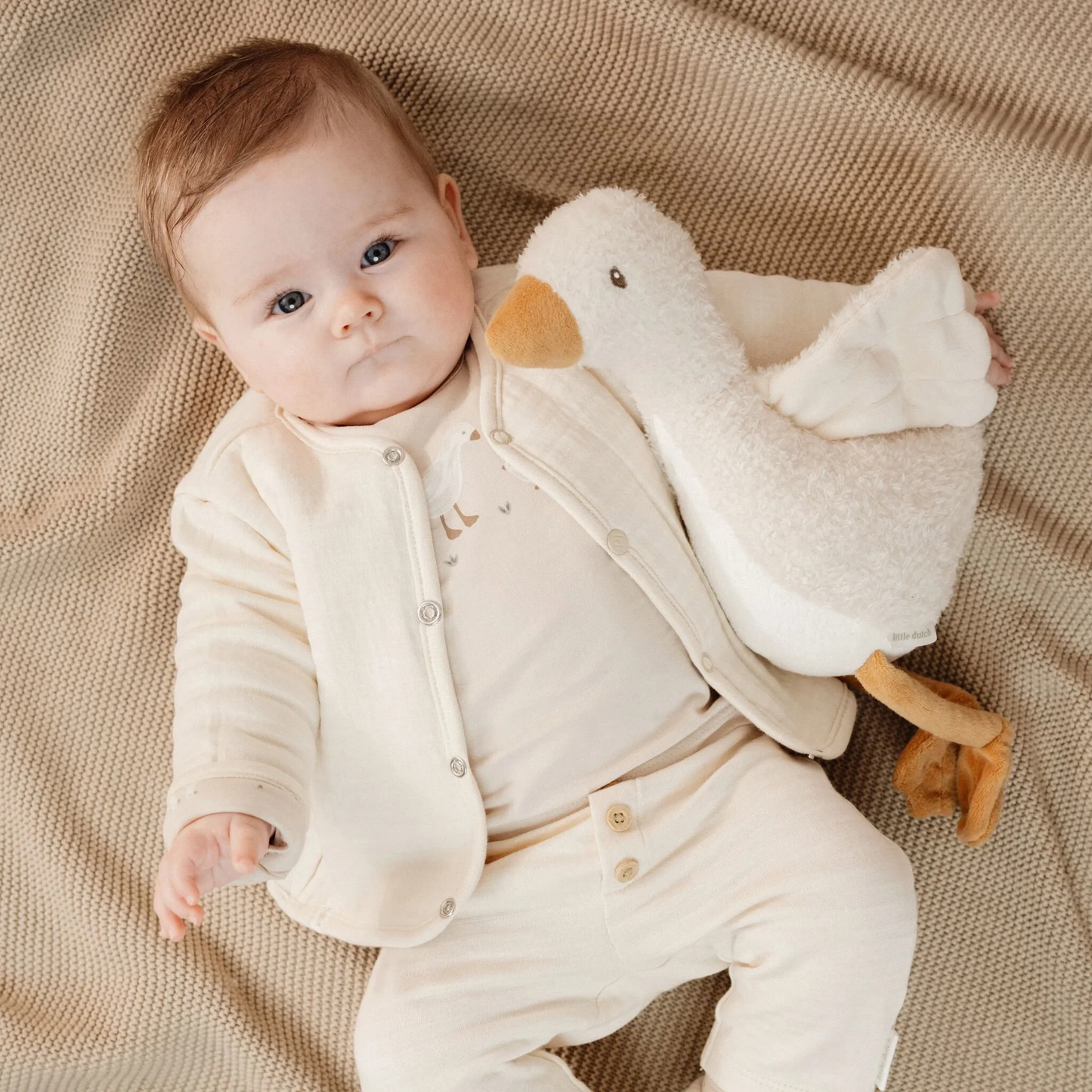 CONJUNTO PATITOS
