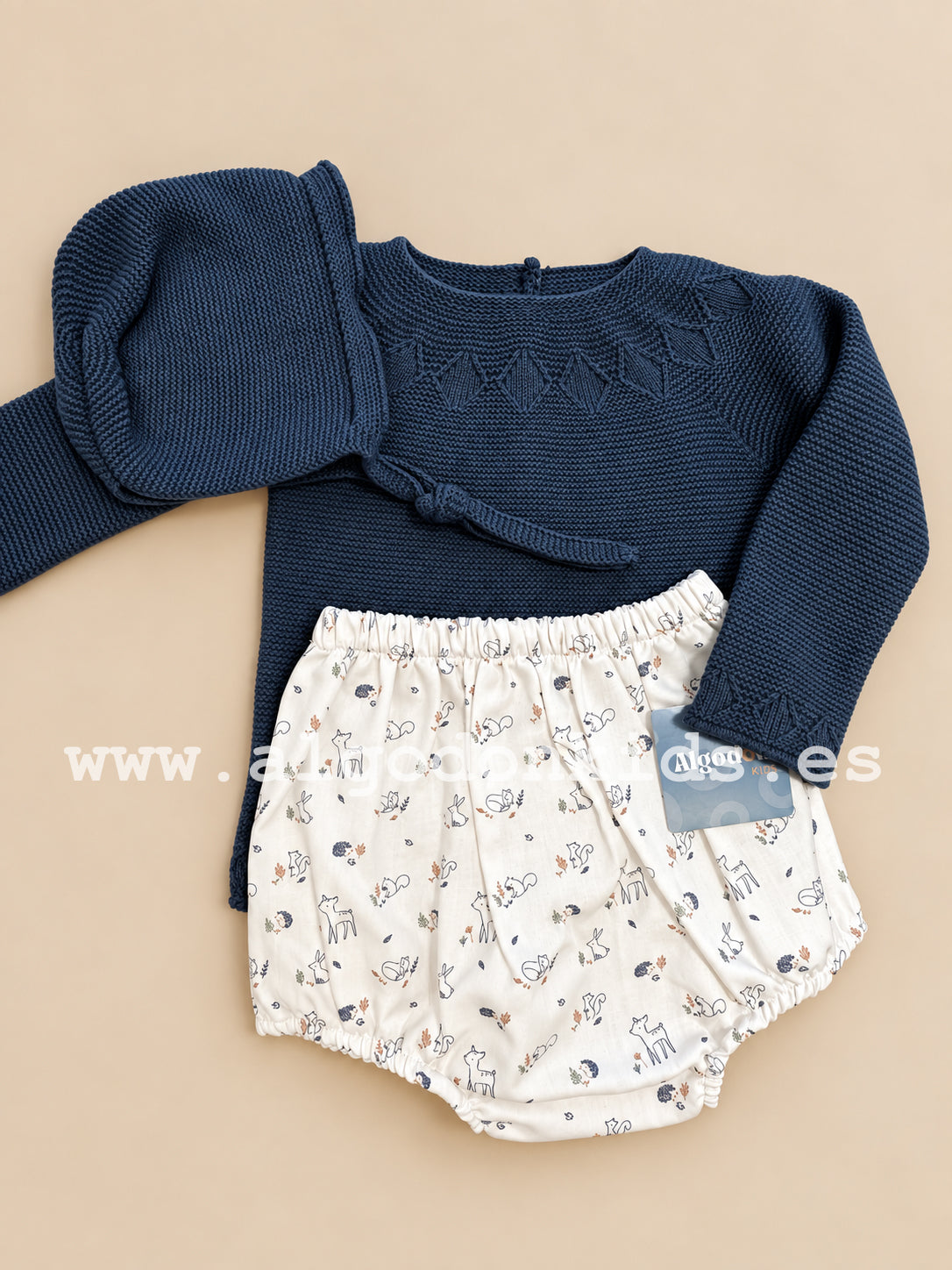 CONJUNTO BOSQUE AZUL